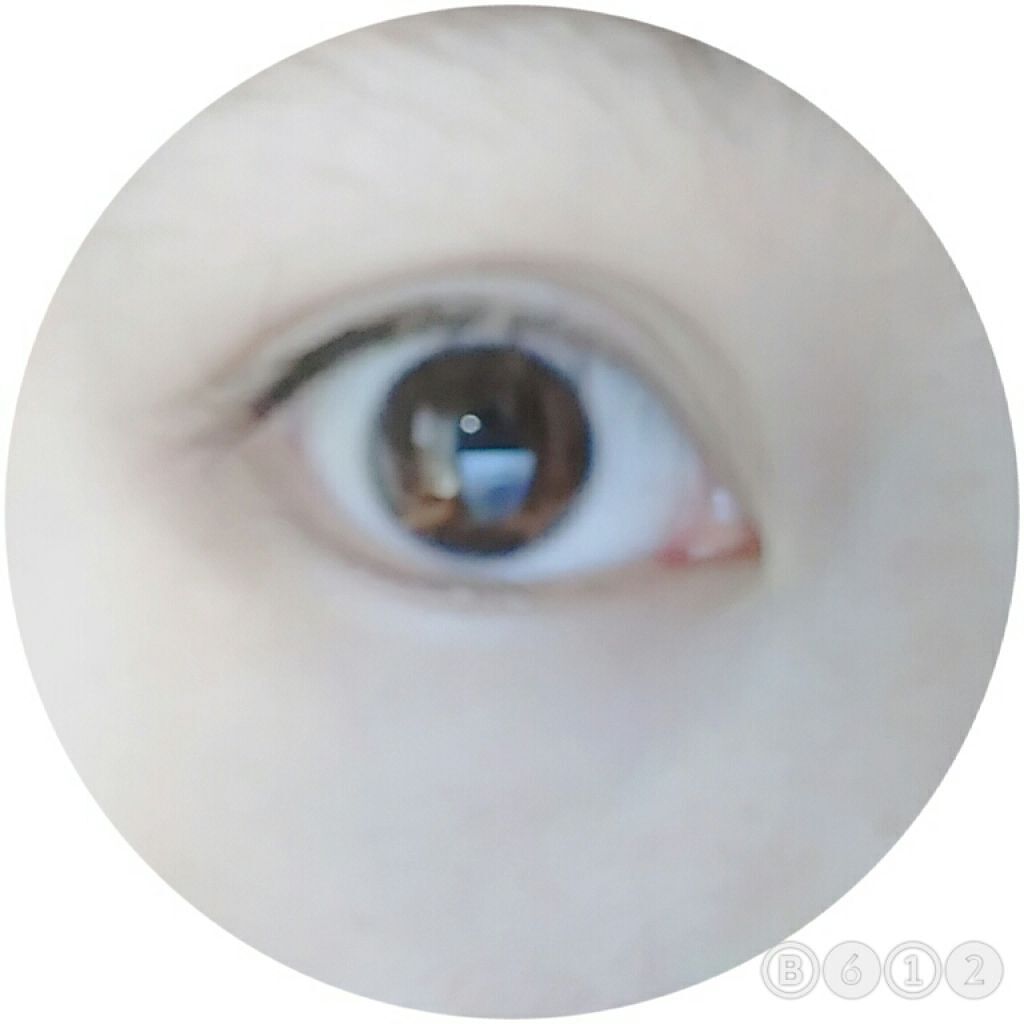 DAISO×kankore ダブルアイリッド/DAISO/二重まぶた用アイテムを使ったクチコミ（1枚目）