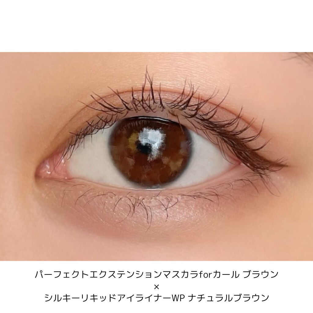 【旧品】シルキーリキッドアイライナーWP/D-UP/リキッドアイライナーを使ったクチコミ(2枚目)