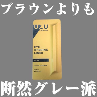 EYE OPENING LINER GRAY/UZU BY FLOWFUSHI/リキッドアイライナーを使ったクチコミ（1枚目）