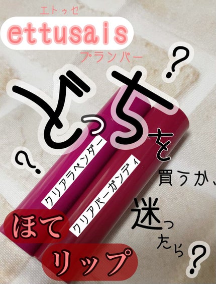 エテュセ リップエディション(プランパー)リッチスタイル/ヘルシースタイル/ettusais/リップケアを使ったクチコミ(1枚目)