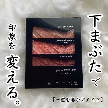 パーツリサイズシャドウ/KATE/アイシャドウパレットを使ったクチコミ(1枚目)