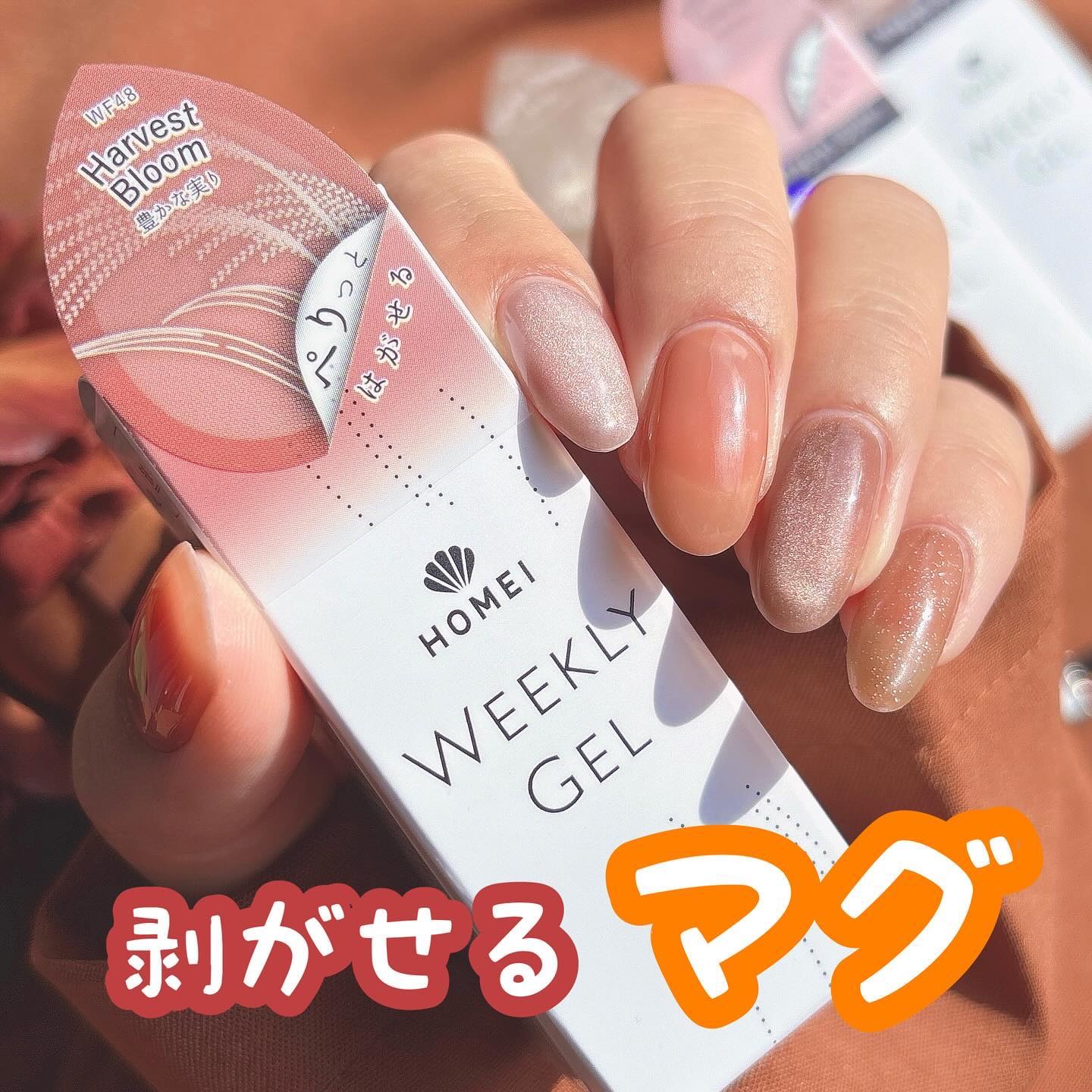 HOMEI マグネットスティック/HOMEI/ネイル用品を使ったクチコミ（1枚目）