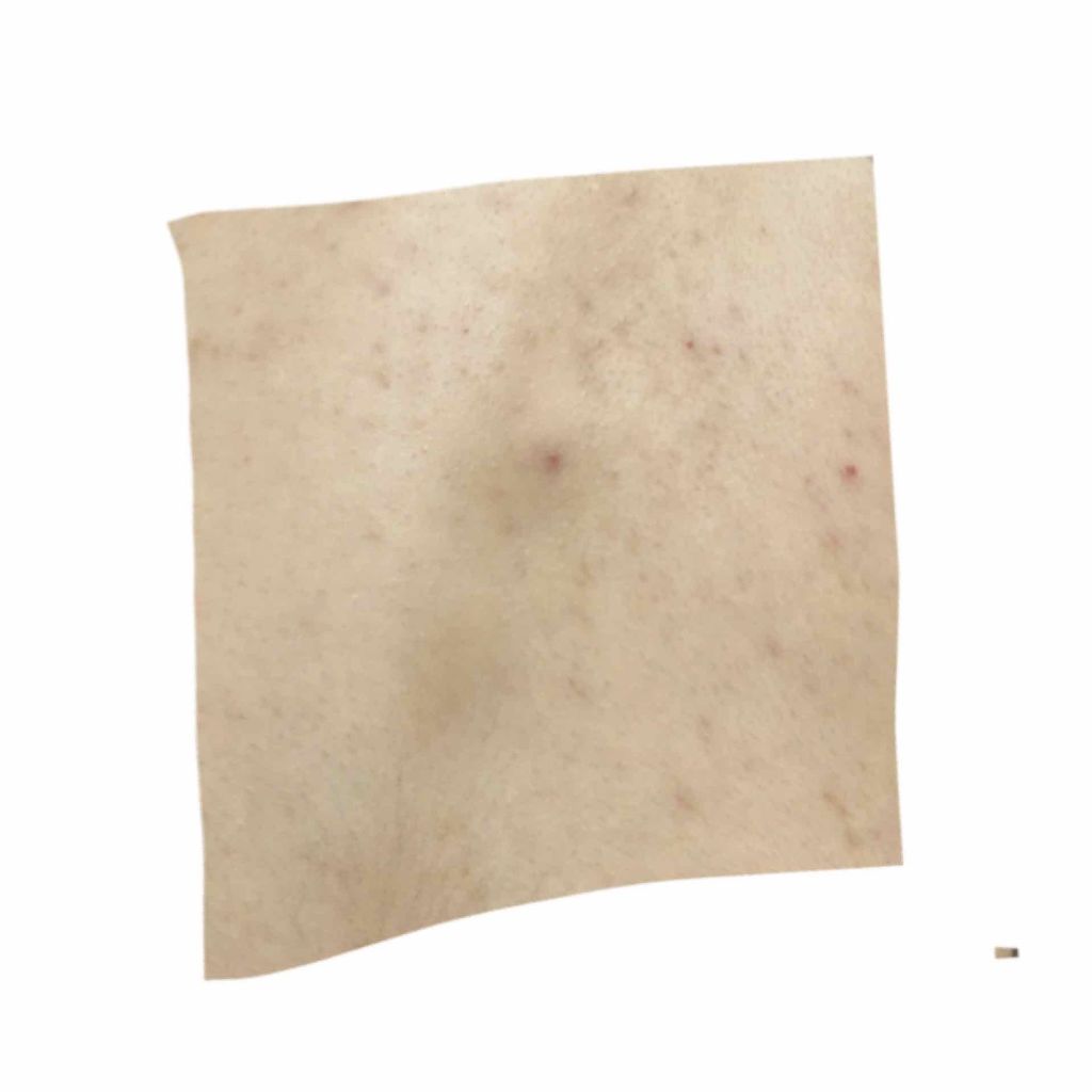 薬用グリーンボディローション/カントリー&ストリーム/ボディローションを使ったクチコミ（3枚目）