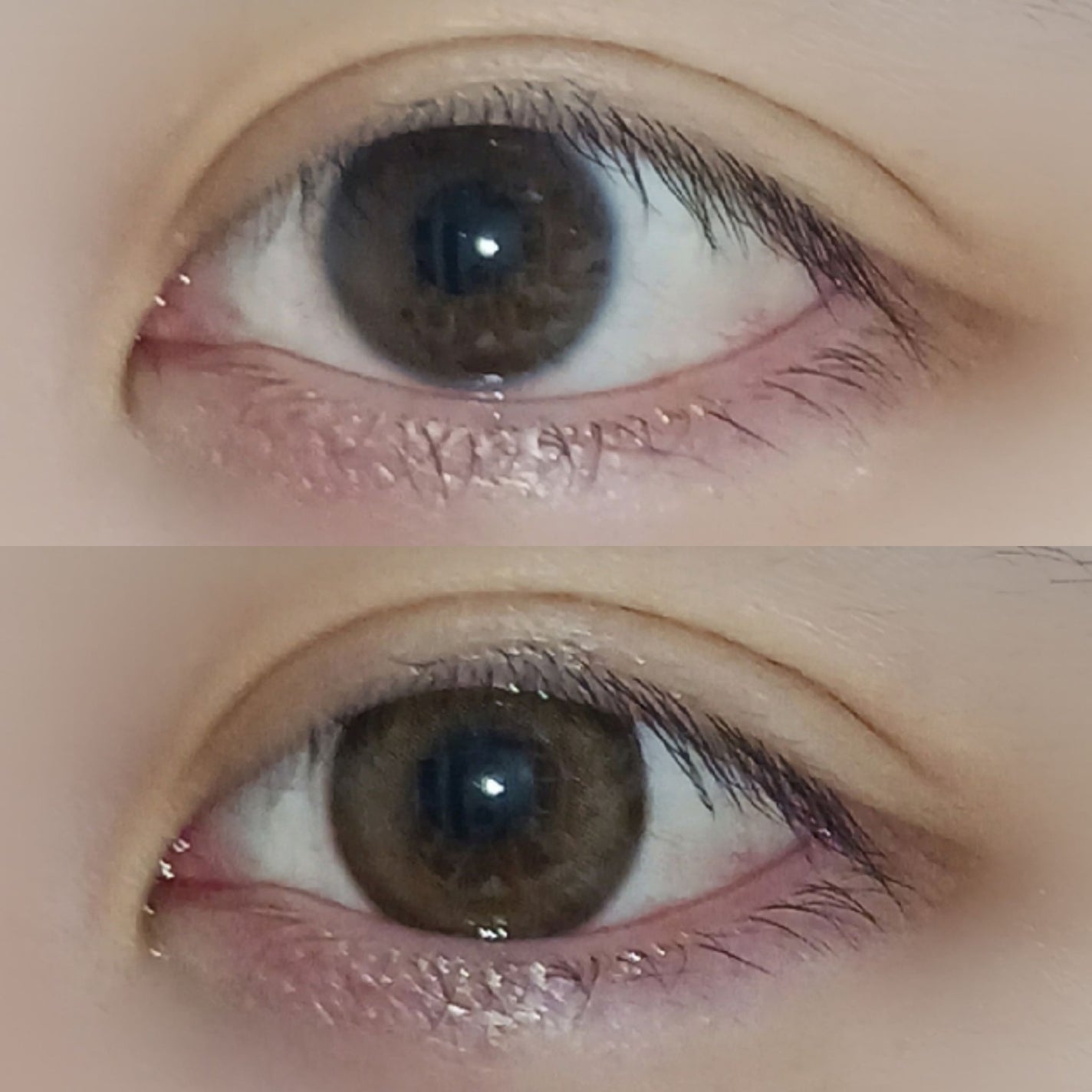 melotte 1day/melotte/ワンデー(1DAY)カラコンを使ったクチコミ(2枚目)