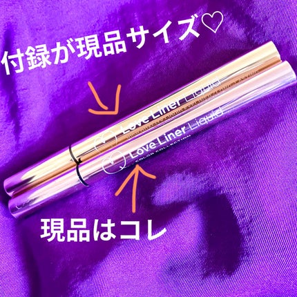リキッドアイライナーR4/ラブ・ライナー/リキッドアイライナーを使ったクチコミ(3枚目)