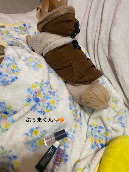 レブロン キス シュガー スクラブ/REVLON/リップスクラブを使ったクチコミ(5枚目)