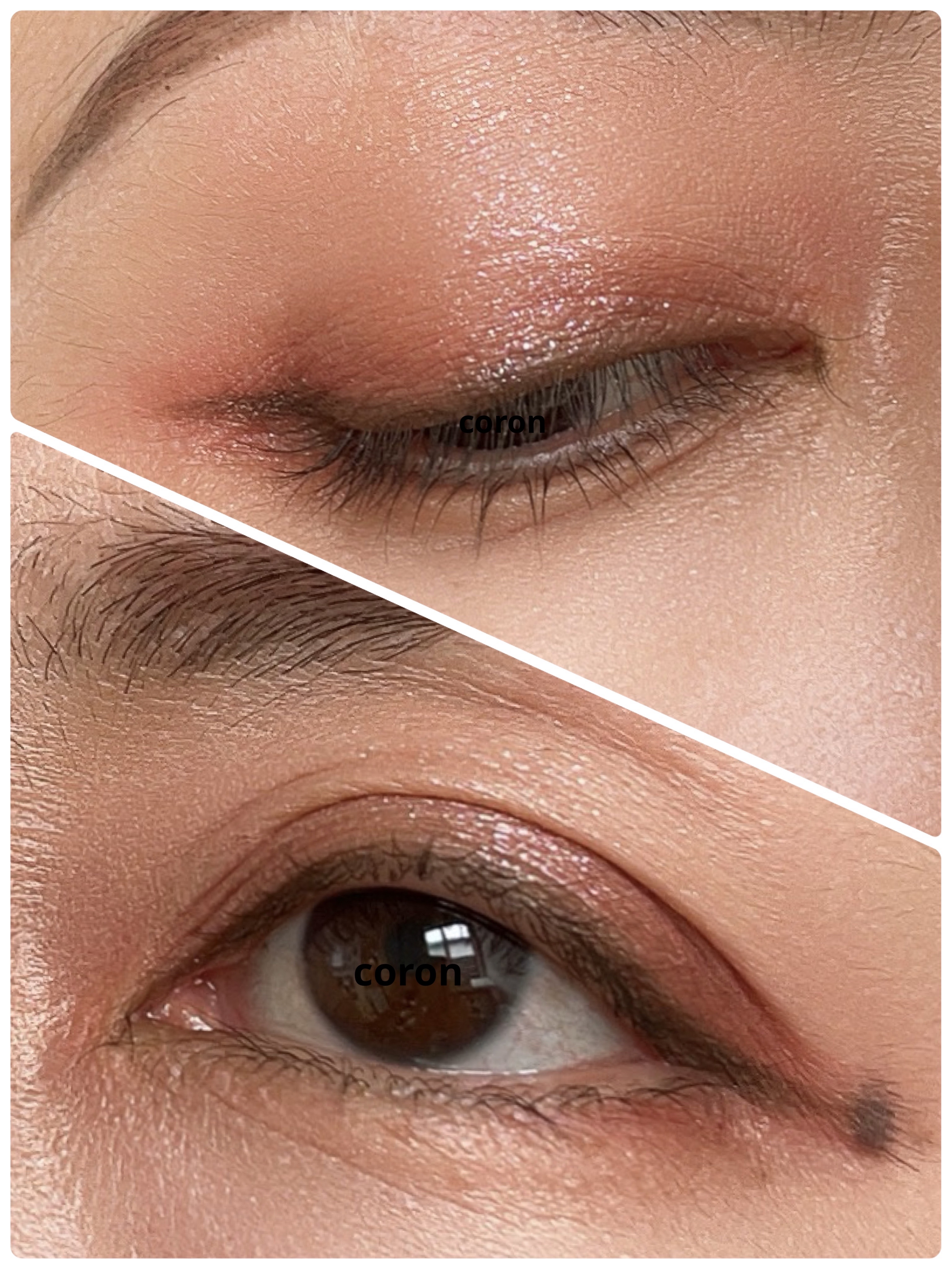 ニューデップスアイシャドウパレット/hince/アイシャドウパレットを使ったクチコミ（2枚目）