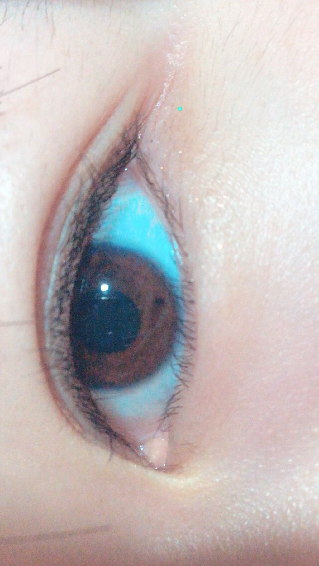 のびーるアイテープ（絆創膏タイプ、レギュラー）/DAISO/二重まぶた用アイテムを使ったクチコミ（1枚目）