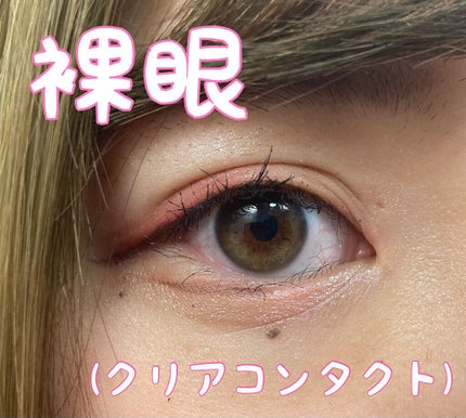 グラムアップ ワンデー/Glam up/ワンデー(1DAY)カラコンを使ったクチコミ(4枚目)