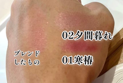 オーラデュウ プリズム イルミネーター ピコ 01 寒椿/SHISEIDOザ・メーキャップ/単色アイシャドウの画像