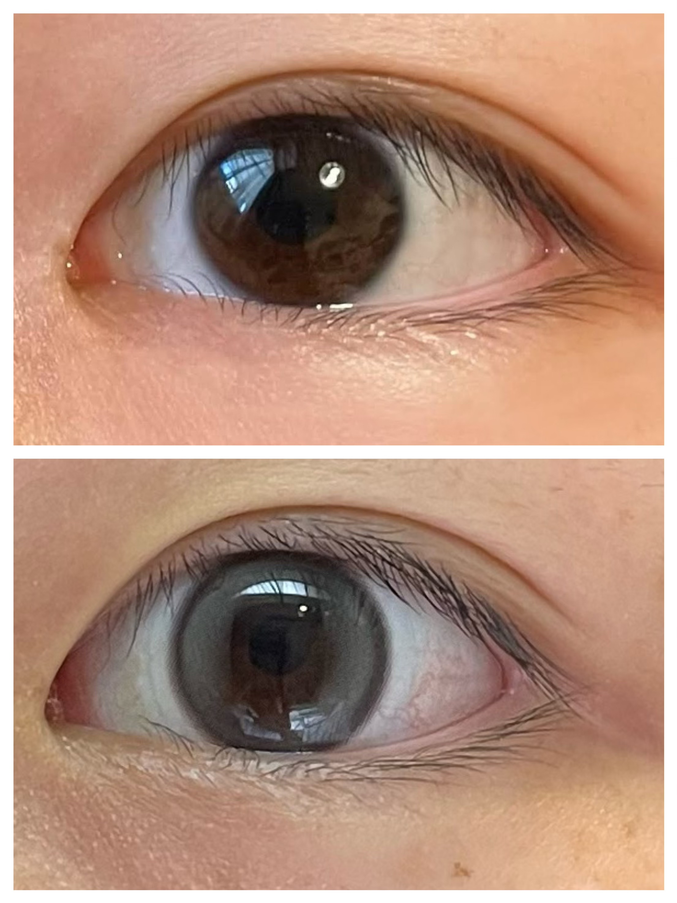 Double Tint 1day/OLENS/カラーコンタクトレンズを使ったクチコミ（2枚目）