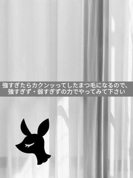 アイラッシュカーラー バネ付/DAISO/ビューラーを使ったクチコミ(6枚目)