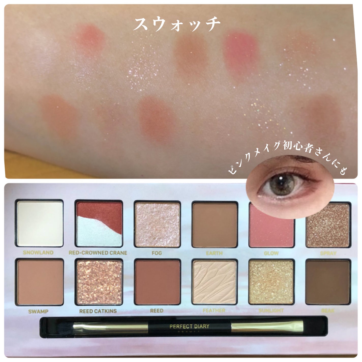 エクスプローラ12色 動物アイシャドウパレット/PERFECT DIARY/アイシャドウパレットを使ったクチコミ(4枚目)