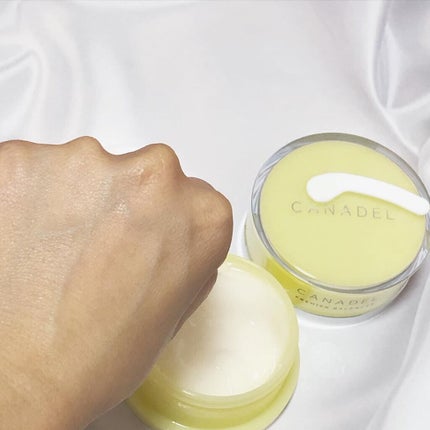 カナデル プレミアバランサー /CANADEL/オールインワン化粧品を使ったクチコミ(4枚目)