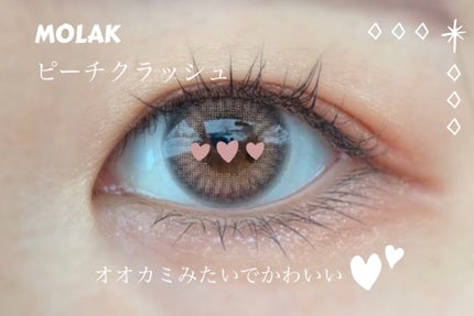 MOLAK 1month/MOLAK/1ヶ月(1MONTH)カラコンを使ったクチコミ(1枚目)