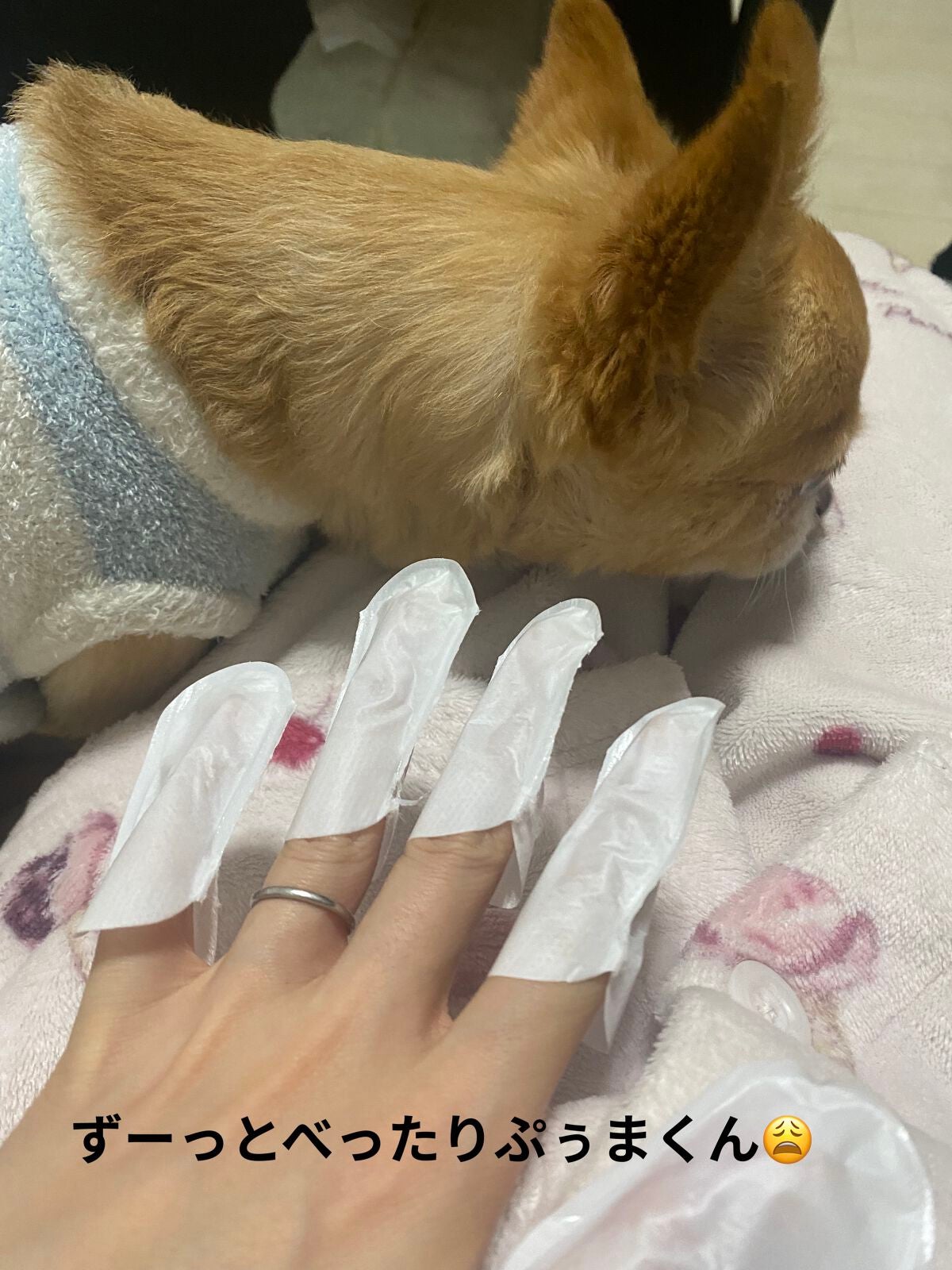 ゆびさき&ネイルケアパック/DAISO/ネイル用品を使ったクチコミ(6枚目)