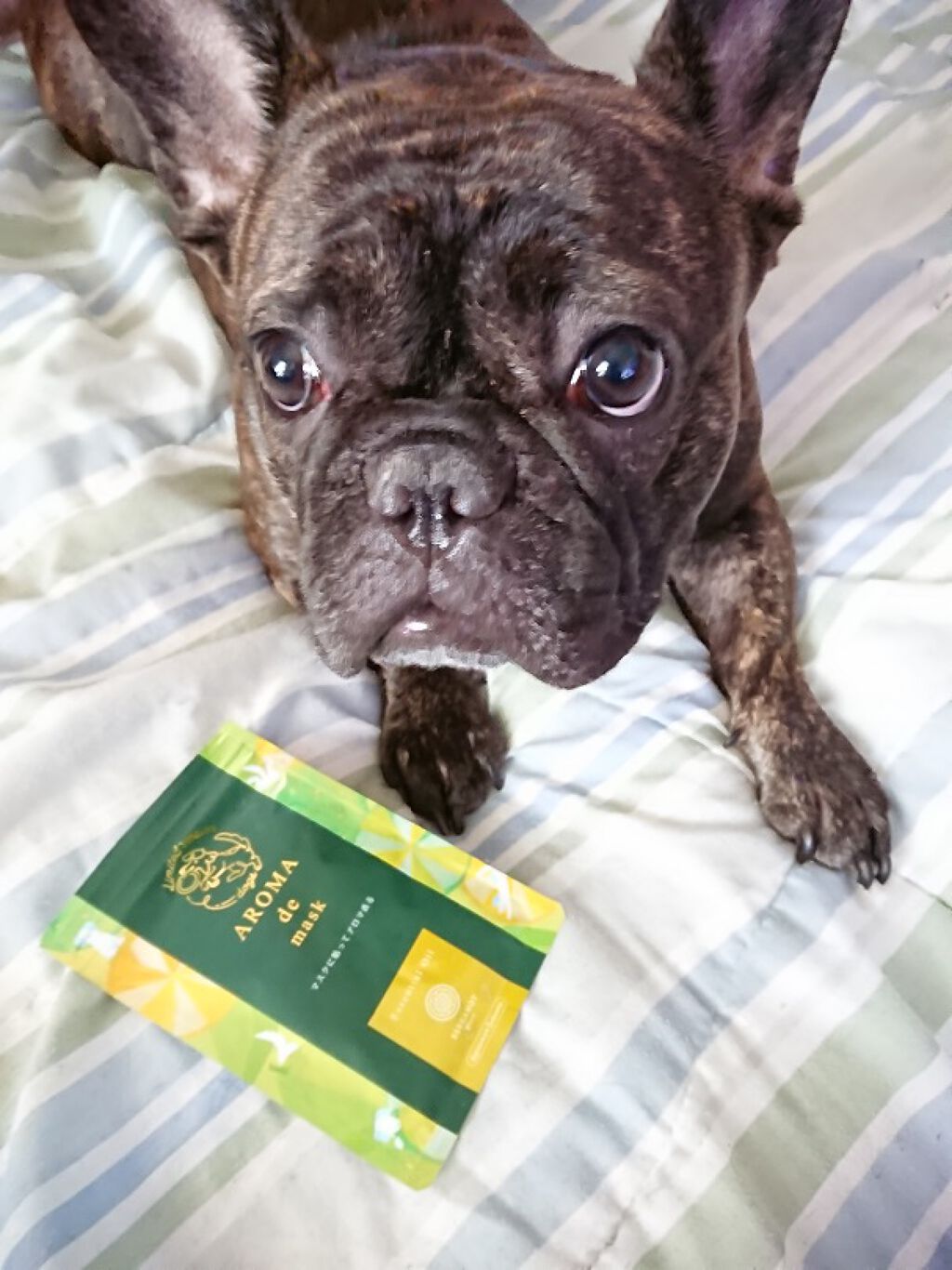 アロマdeマスク/ウェルベスト/マスクを使ったクチコミ（1枚目）