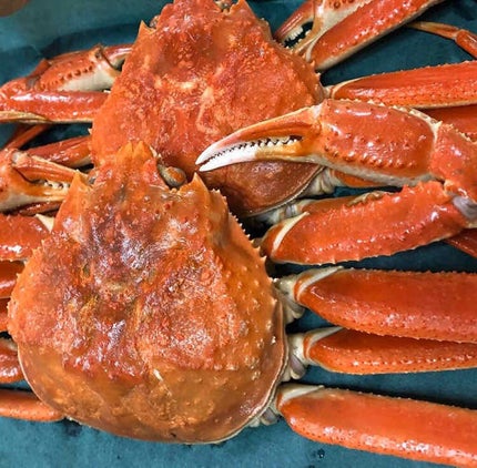 クレイパック/アルソア/洗い流すパック・マスクを使ったクチコミ(3枚目)