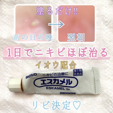 エスカメル（医薬品）/佐藤製薬/その他の画像