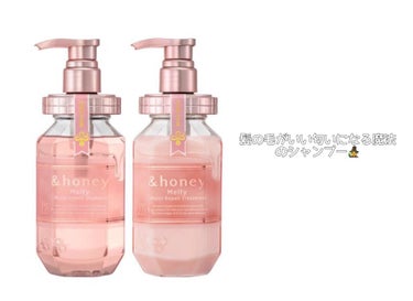 &honey Melty モイストリペア シャンプー1.0／モイストリペア ヘアトリートメント2.0/&honey/シャンプー・コンディショナーを使ったクチコミ（1枚目）