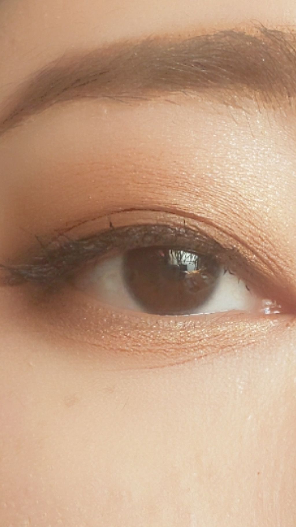 グラディカルアイズS/KATE/アイシャドウパレットを使ったクチコミ（2枚目）