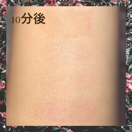 プランパーティント/リップデコ/リップグロスを使ったクチコミ(3枚目)