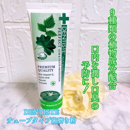 デンティス チューブタイプ/デンティス/歯磨き粉を使ったクチコミ(1枚目)
