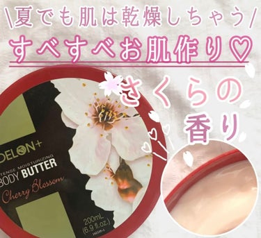 \夏でもお肌は乾燥しちゃう!!/



ボディバターで乾燥対策を𓂃



今回は
Delon  Body Butter  Cherry Blossom ❀
を紹介していきます♡




｡・ﾟ・。｡・ﾟ