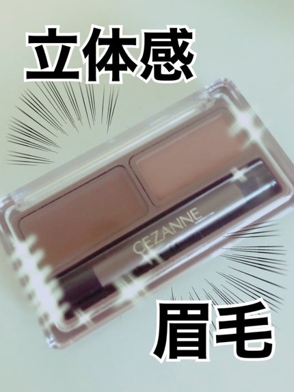 アイブロウワックス&パウダー W1 ライトブラウン/CEZANNE/アイブロウを使ったクチコミ(1枚目)
