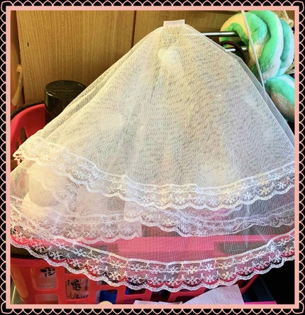 セリア購入品/セリア/その他を使ったクチコミ(3枚目)