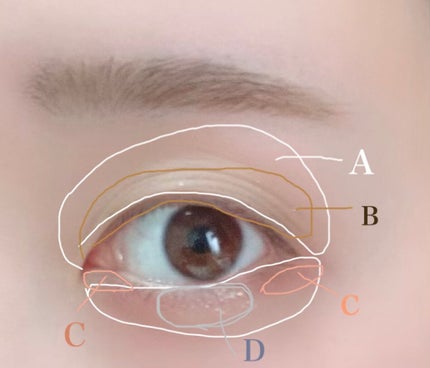 バーチャルアイズメイカー/KATE/アイシャドウパレットを使ったクチコミ(5枚目)