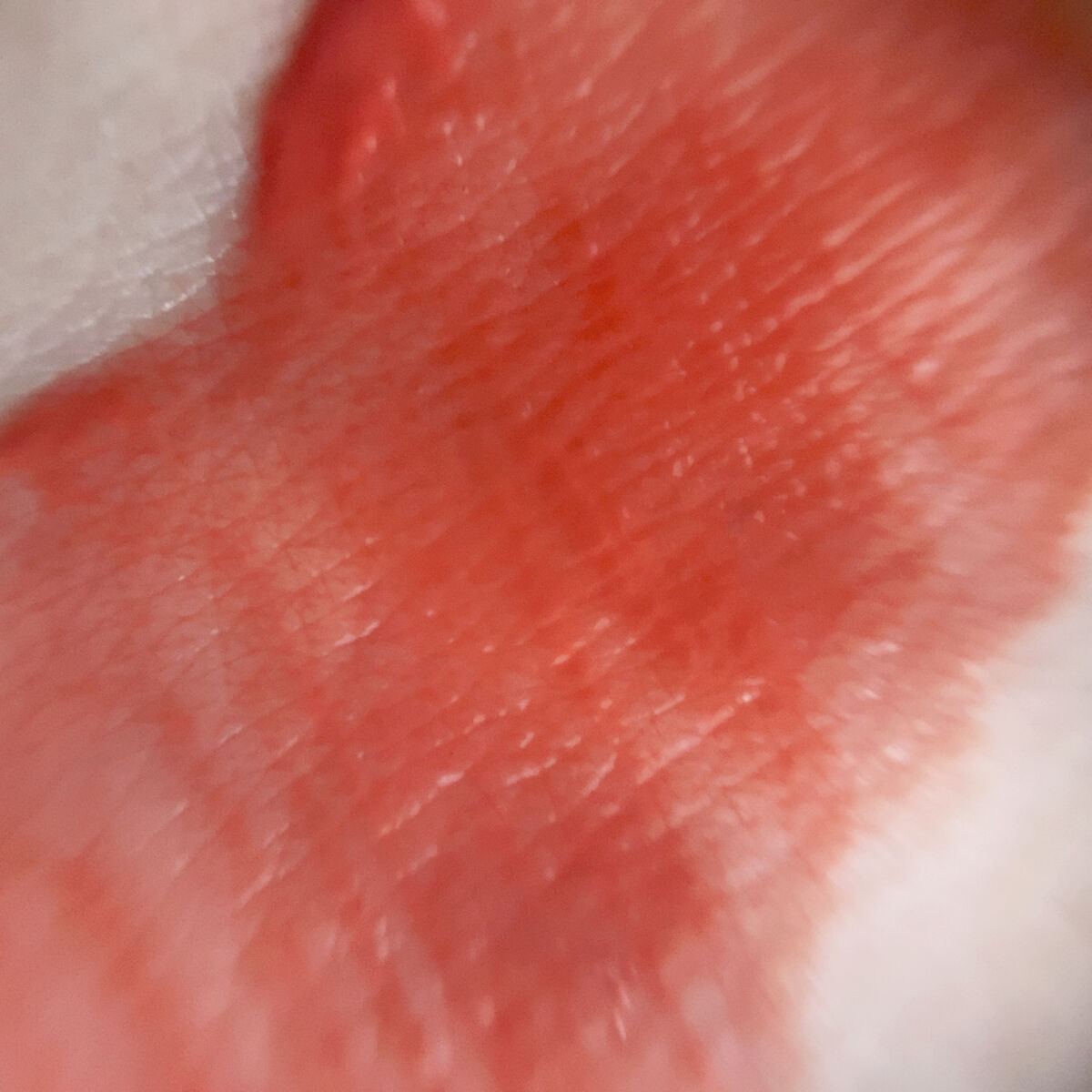 ジューシーラスティングティント 29 パパイヤジャム(PAPAYA JAM)/rom&nd/リップティントを使ったクチコミ（2枚目）