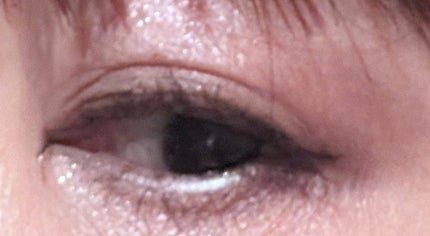 UR GLAM BLOOMING EYE COLOR PALETTE/U R GLAM/アイシャドウパレットを使ったクチコミ(2枚目)