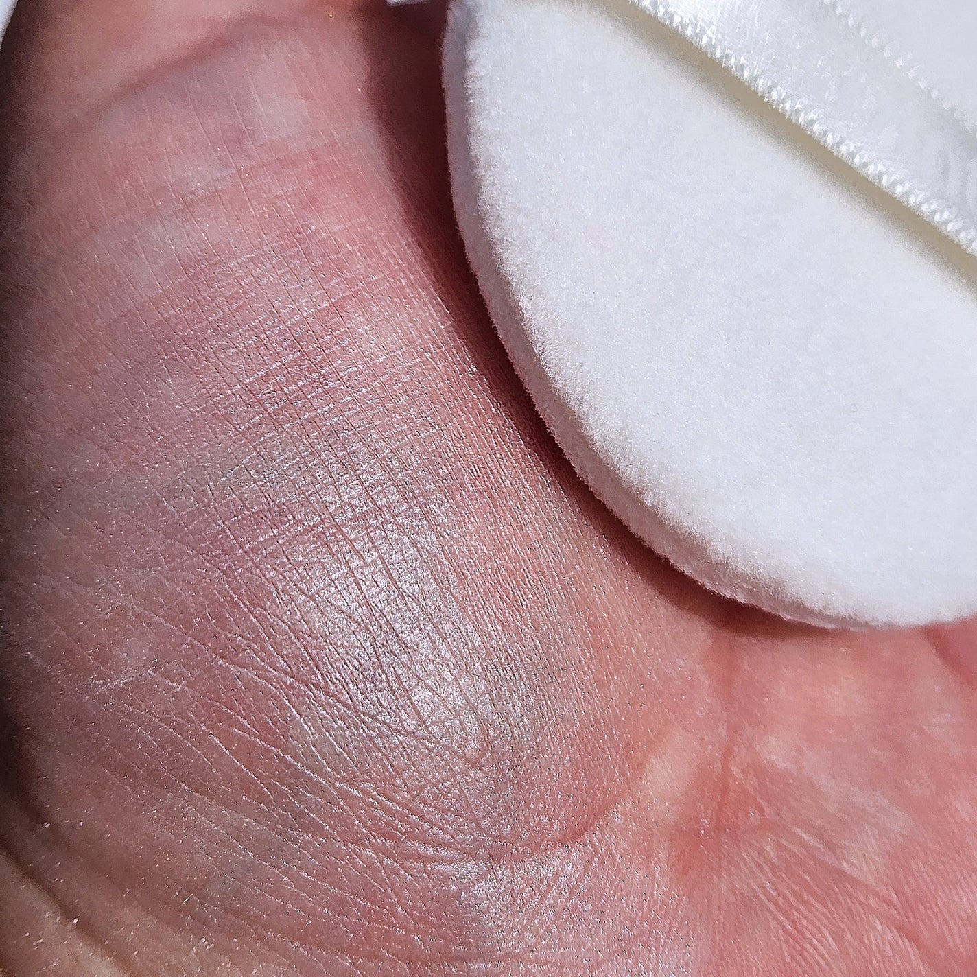 ピクシーダスト ルースパウダー フィニッシュパウダー /Dinto/ルースパウダーを使ったクチコミ(4枚目)