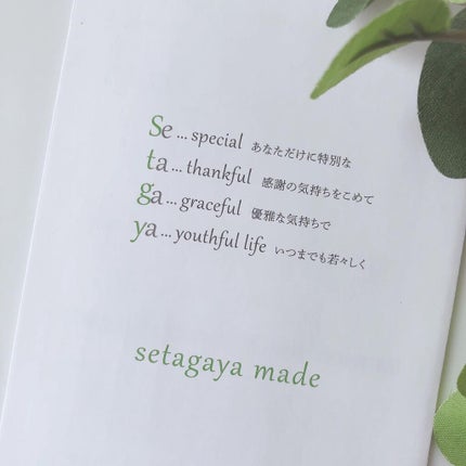 クリアクレンジングジェル/Stgy/クレンジングジェルを使ったクチコミ(9枚目)