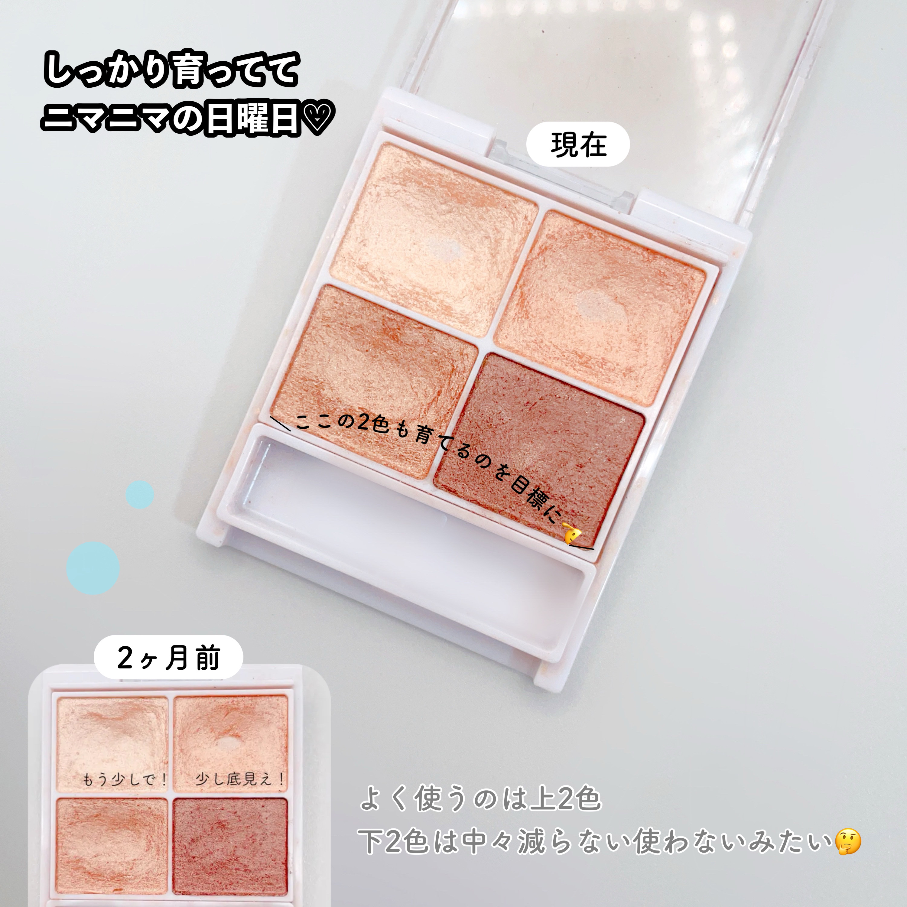 シルキースフレアイズ 01 ノーブルベージュ/キャンメイク/アイシャドウパレットを使ったクチコミ（2枚目）