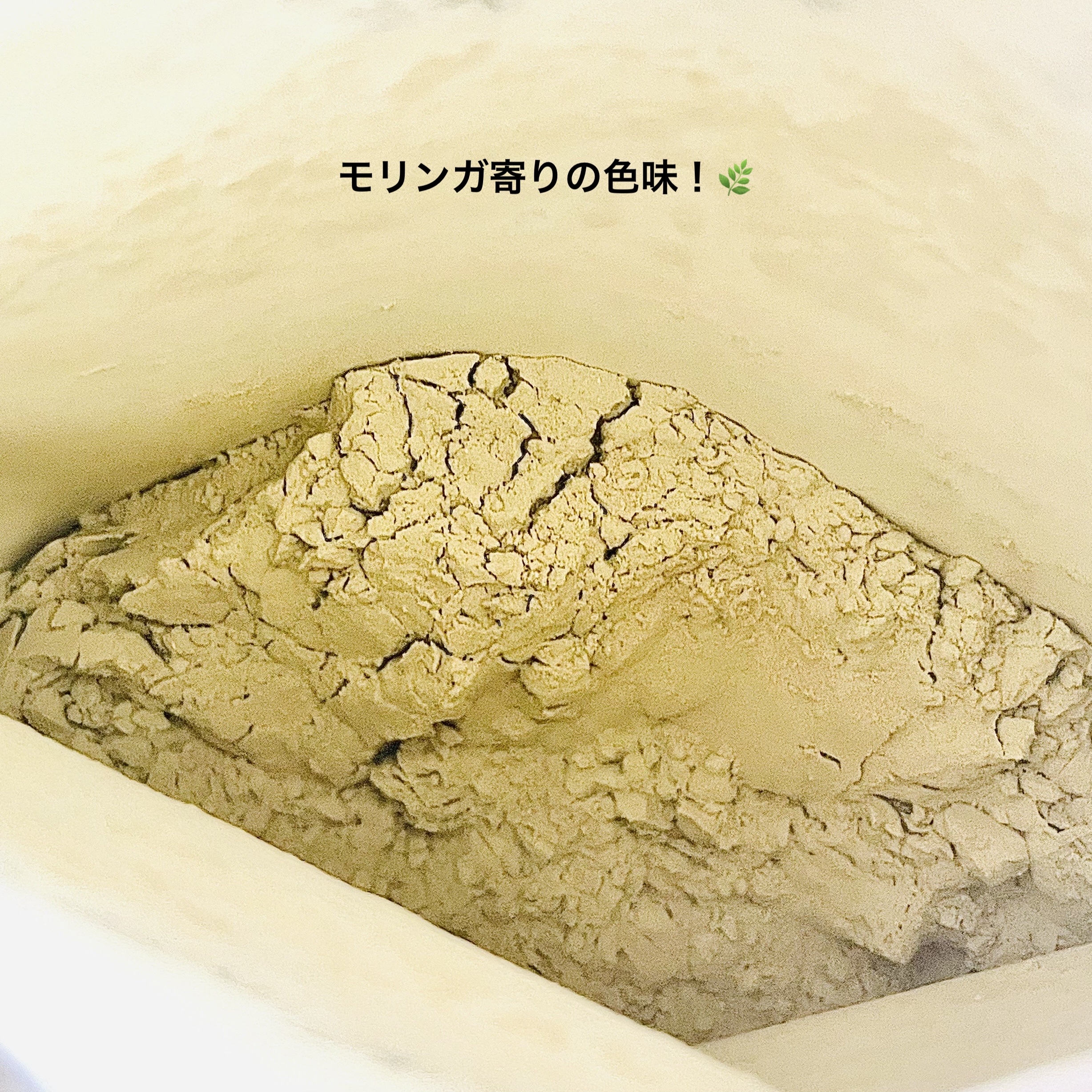 チャンププロテイン モリンガー入りビューティ/浜田産業/ソイプロテインを使ったクチコミ（3枚目）