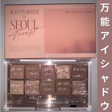 今回紹介するのは
CLIO　プロ アイ パレット　
12 AUTUMN BREEZE IN SEOUL FOREST
です！

以前からこのパレットは気になっていて、どの色にしようかすごく迷っていたので