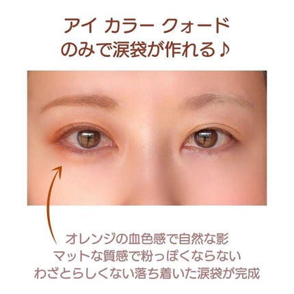 アイ カラー クォード/TOM FORD BEAUTY/アイシャドウパレットを使ったクチコミ(5枚目)