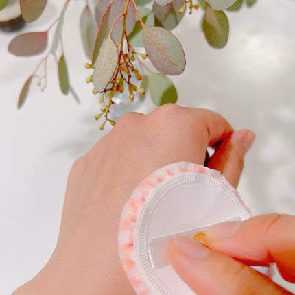 サンブロックルーセントパウダーex./ステファニー/プレストパウダーを使ったクチコミ(5枚目)