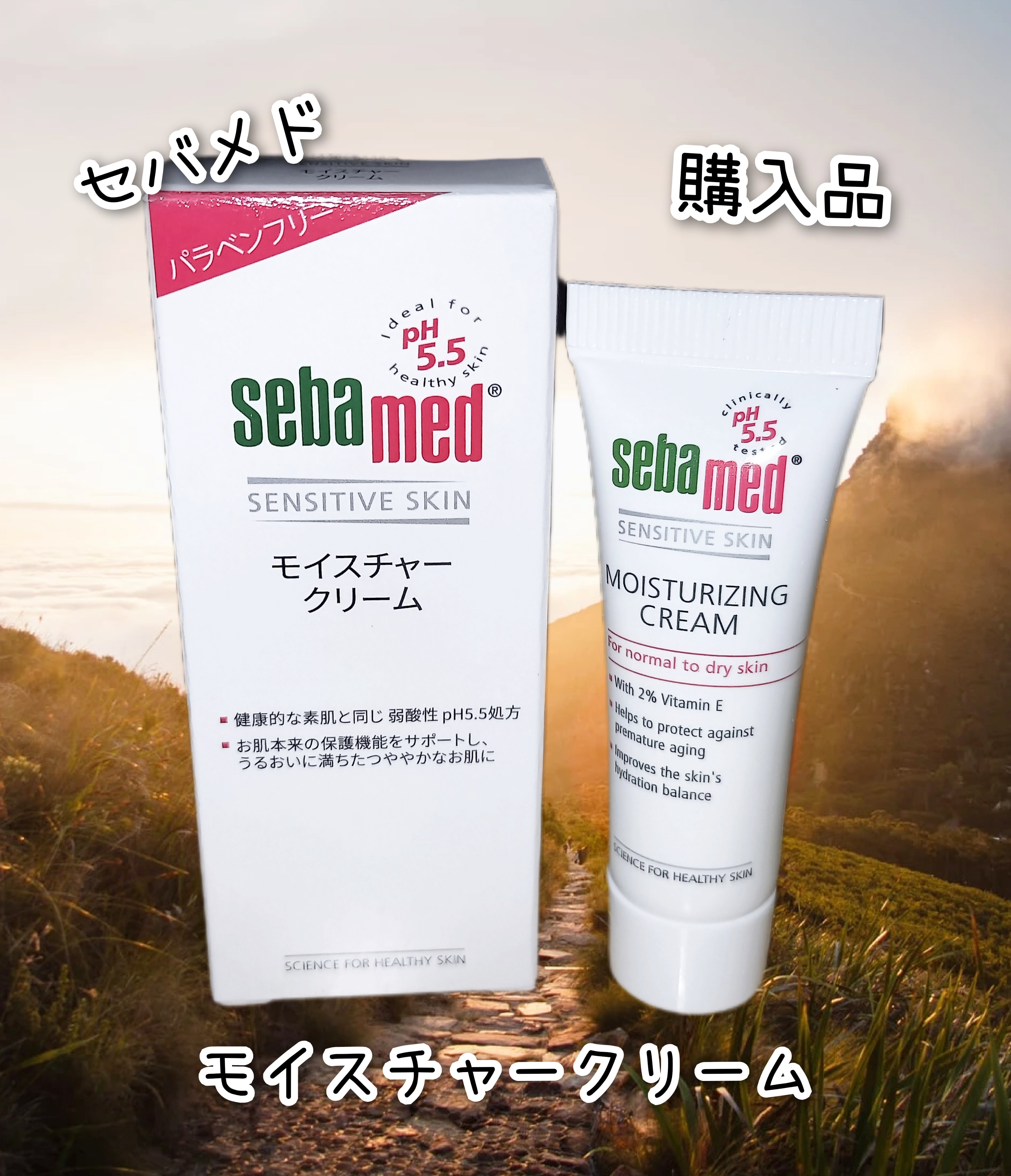 モイスチャークリーム/セバメド/フェイスクリームを使ったクチコミ（1枚目）
