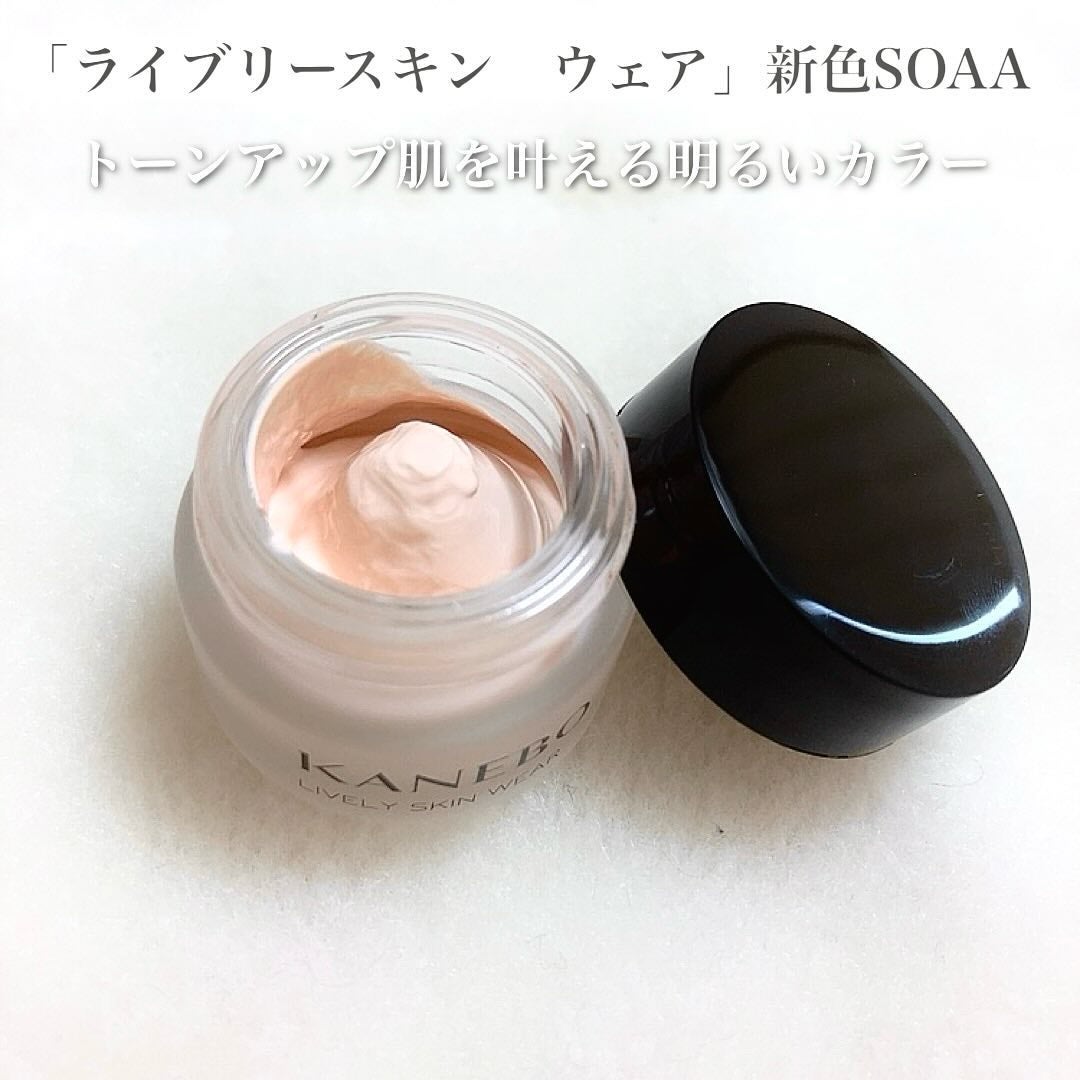 ライブリースキン ウェア/KANEBO/クリーム・エマルジョンファンデーションを使ったクチコミ(2枚目)