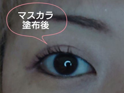耐久カールマスカラ/CEZANNE/マスカラを使ったクチコミ(5枚目)