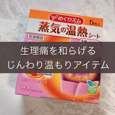 蒸気の温熱シート 下着の内側面に貼るタイプ 5枚入/めぐりズム/その他を使ったクチコミ（1枚目）