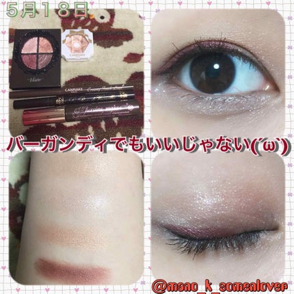 グロッシーリッチ アイズ/Visée/アイシャドウパレットを使ったクチコミ(1枚目)