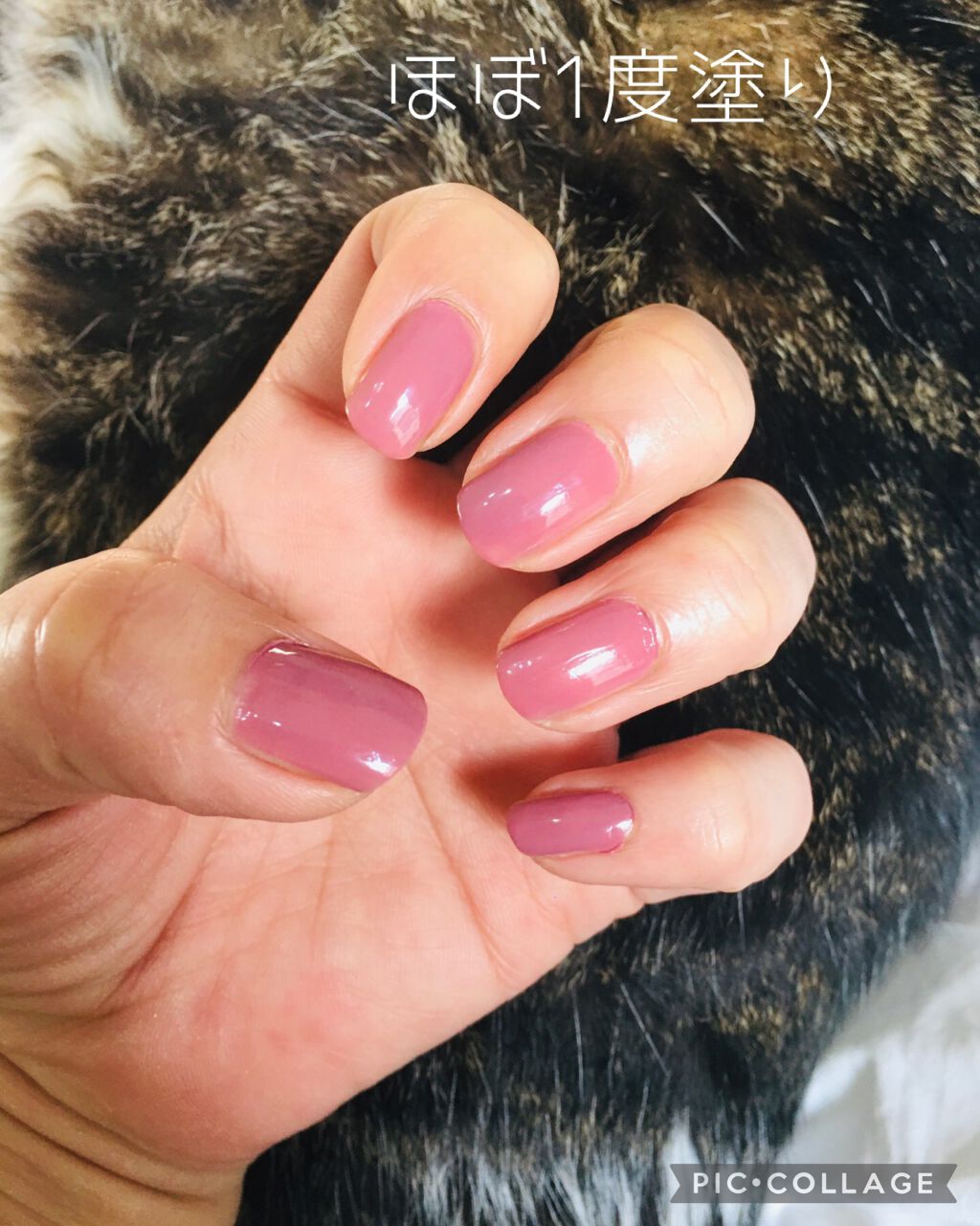 LILY BROWN×to/one ネイルポリッシュ/to/one/マニキュアを使ったクチコミ(4枚目)