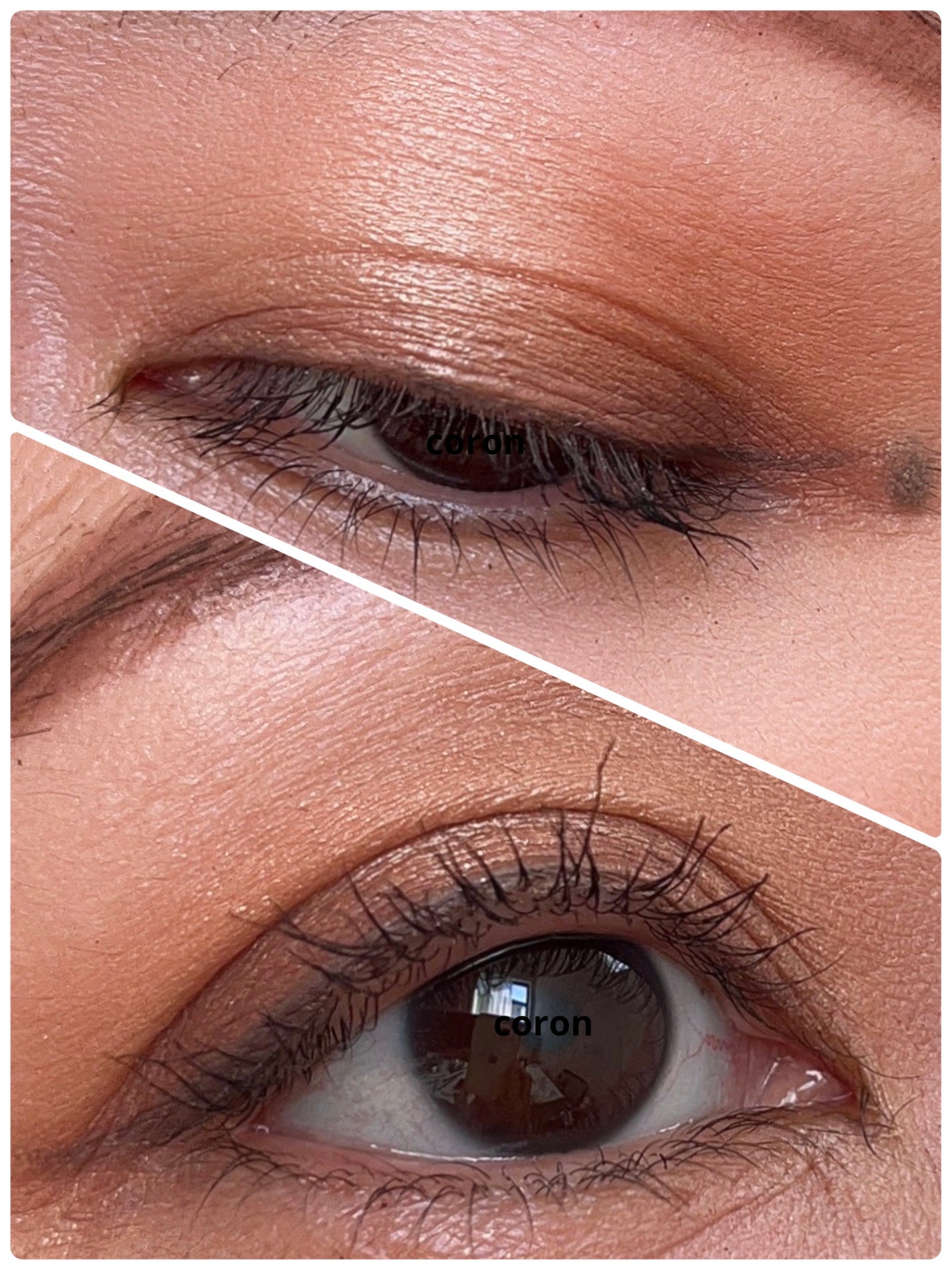 リュクス アイ & チーク パレット/BOBBI BROWN/アイシャドウパレットを使ったクチコミ(2枚目)