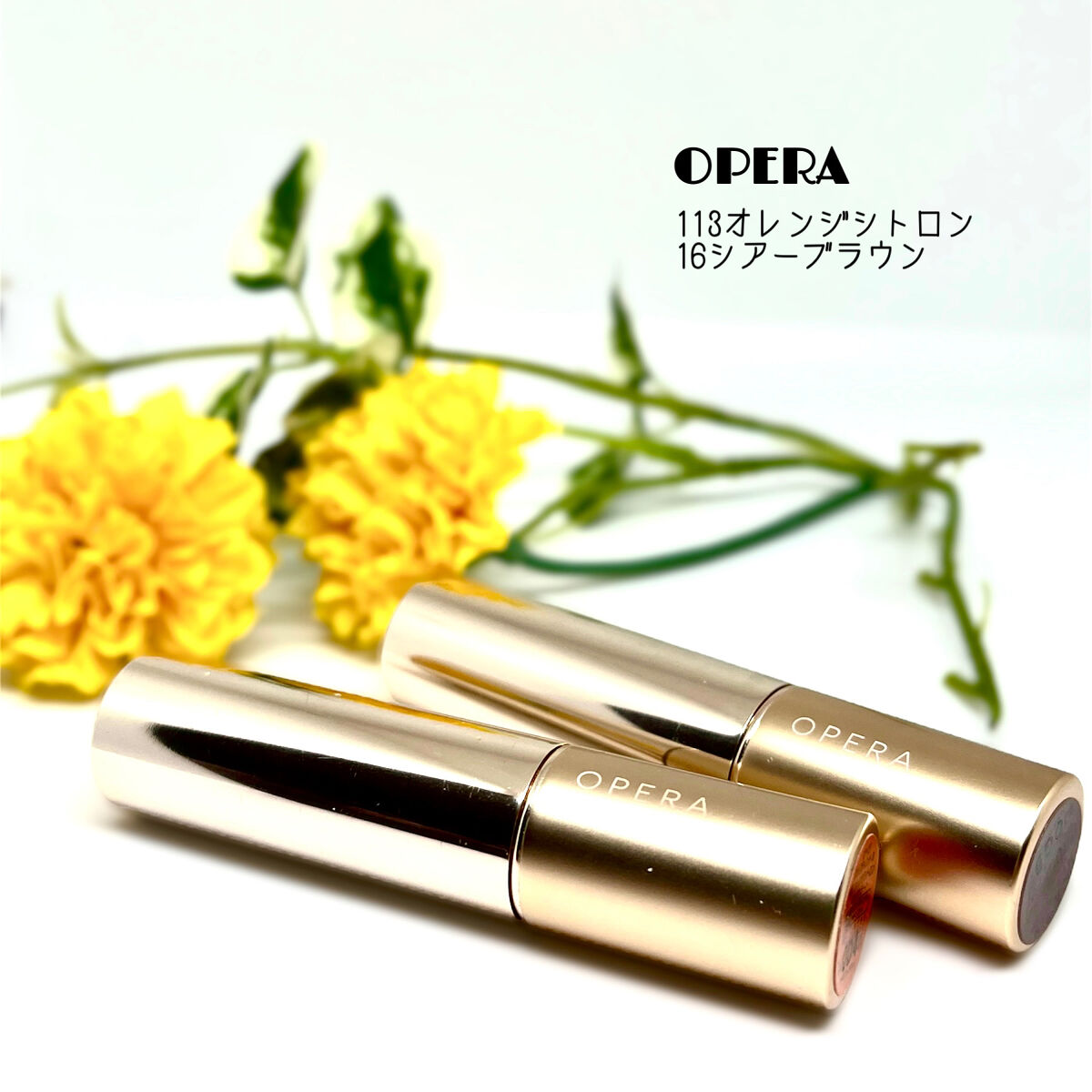 オペラ リップティント N/OPERA/リップティントを使ったクチコミ（1枚目）