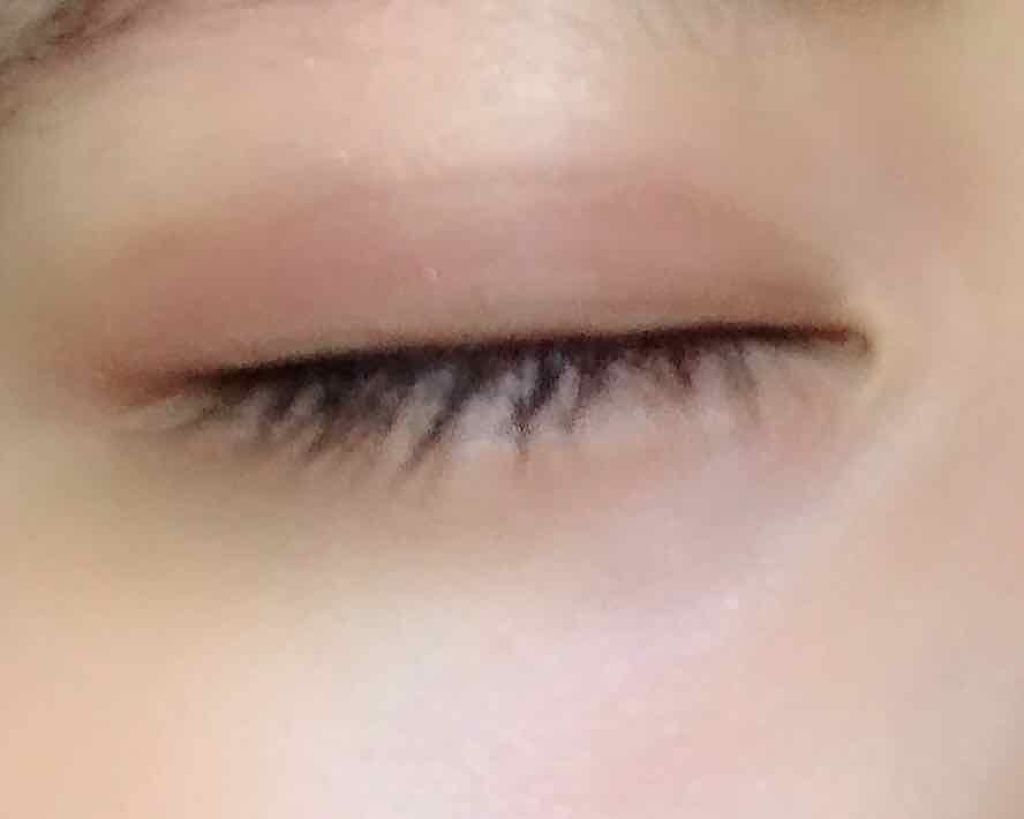 ロイヤルヴィンテージ アイズ/リンメル ロンドン/アイシャドウパレットを使ったクチコミ（3枚目）