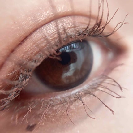 ロイヤルヴィンテージ アイズ/リンメル ロンドン/アイシャドウパレットを使ったクチコミ(5枚目)